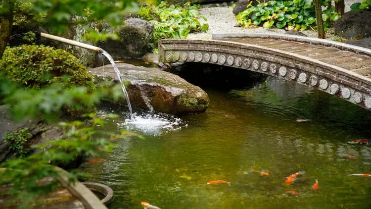 南八岳須玉溫泉 若神樓｜露天溫泉/公共浴場/富士山景-17