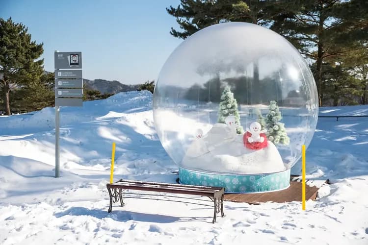 【首爾出發】洪川大明SONO滑雪度假村-冰雪樂園一天團｜趣味雪橇、冰球體驗-8