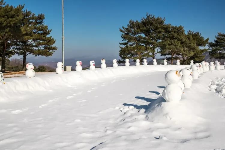 【首爾出發】洪川大明SONO滑雪度假村-冰雪樂園一天團｜趣味雪橇、冰球體驗-7