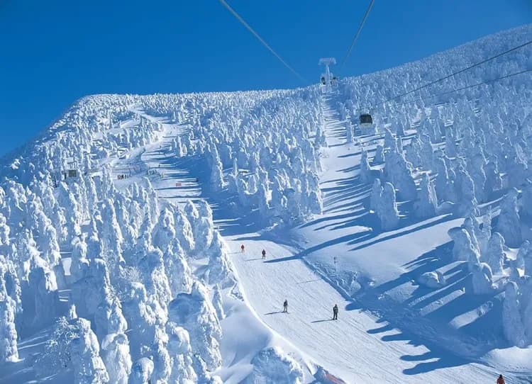 【主題旅遊】FUN_SKI滑雪趣山形藏王．驚豔樹冰滑雪五日遊(仙台進出)