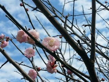 湖水映渡假民宿-3