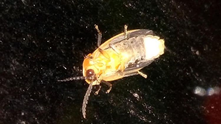 湖水映渡假民宿-11