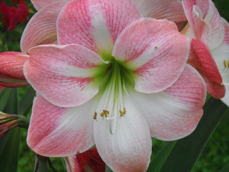 湖水映渡假民宿-9