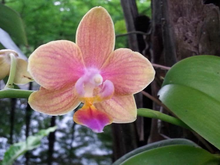 湖水映渡假民宿-14