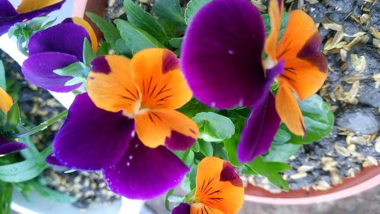 湖水映渡假民宿-16