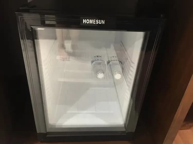 Mini-refrigerator