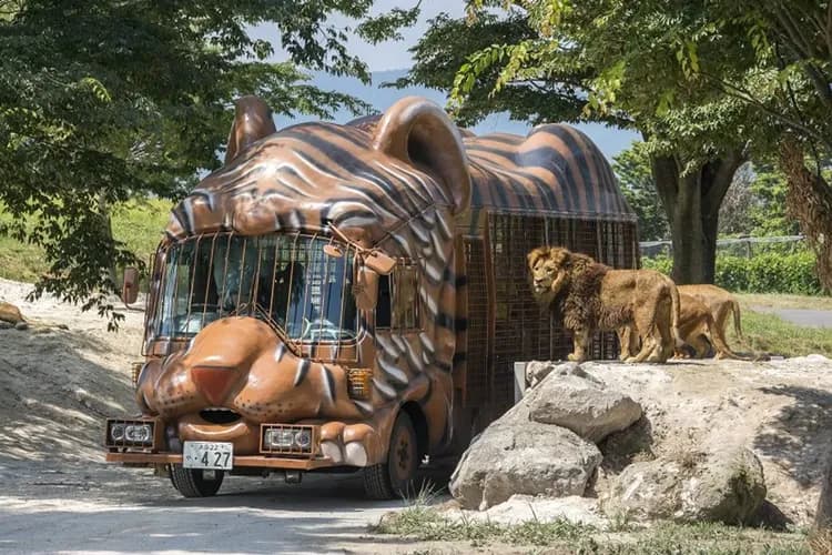 【過年折3,000】九州人氣由布院之森、九重戲雪、自然野生動物園、柳川暖桌遊船、雙溫泉美食五日