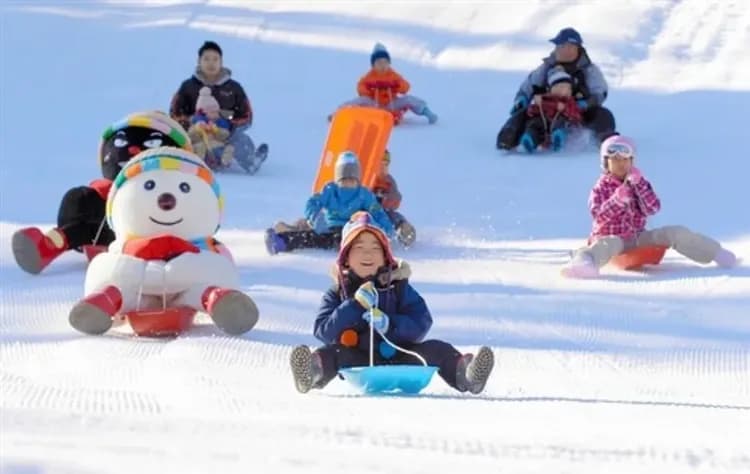 【賀歲折3000】大阪旅遊．經典京阪神奈、歡樂戲雪、環球影城、溫泉螃蟹饗宴五日｜贈四項劵｜環球影城旁飯店｜高雄來回