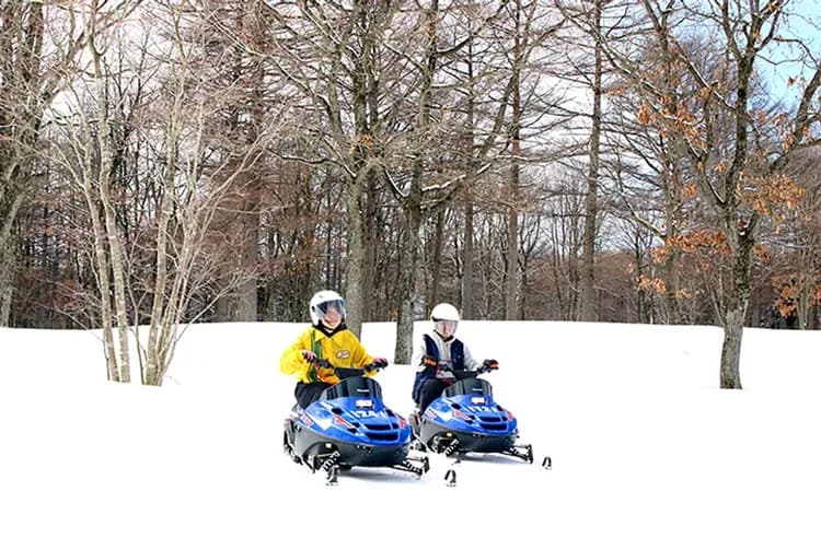 過年折3,000｜冬季北海道破冰船.晚宴愛努舞秀.熱氣球.冰上嘉年華.冰釣公魚.活蟹饗宴美人湯五日｜保住四晚溫泉-8