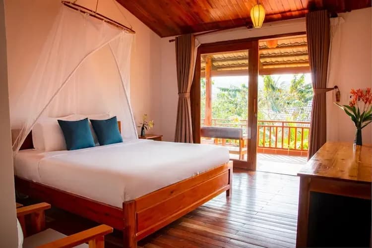 View from room