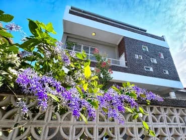 朗香洋房-許願藤花開時