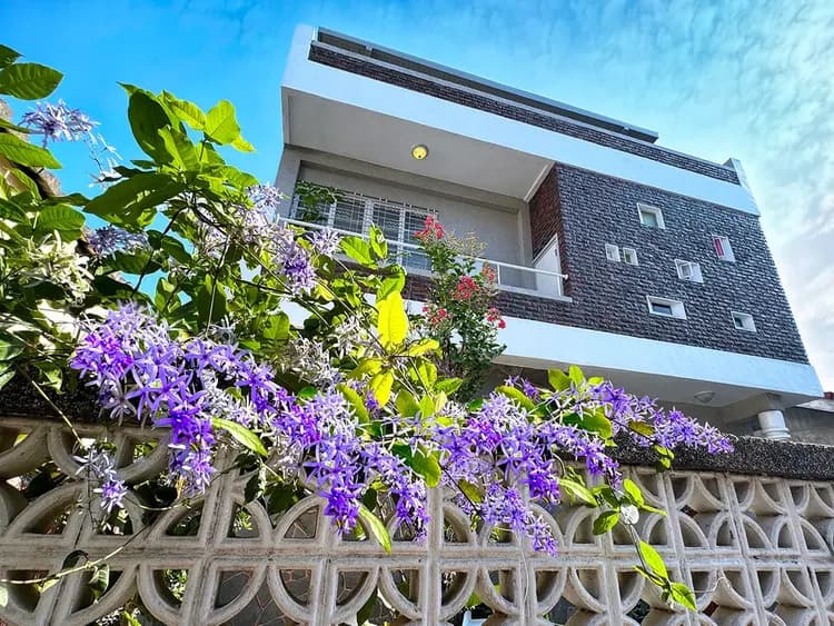 朗香洋房-許願藤花開時