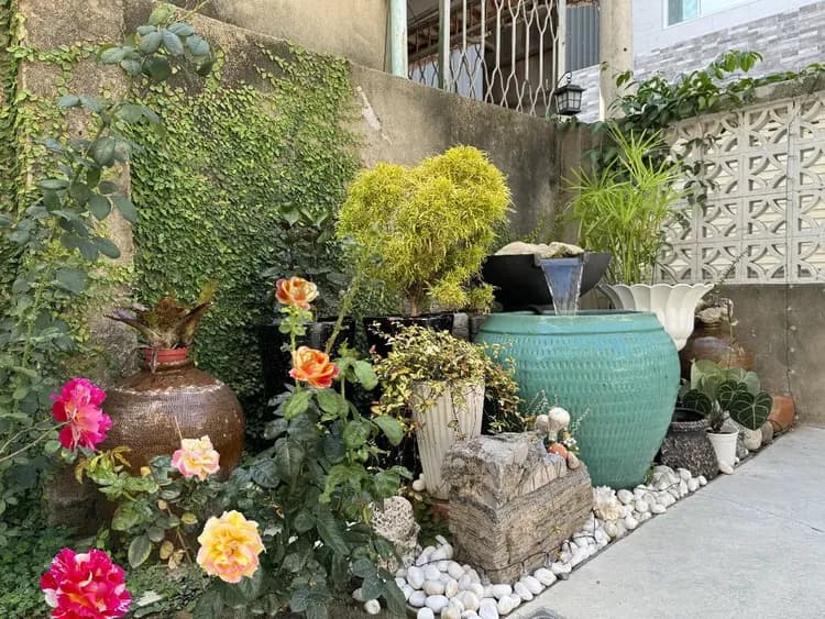 朗香洋房-玫瑰花園