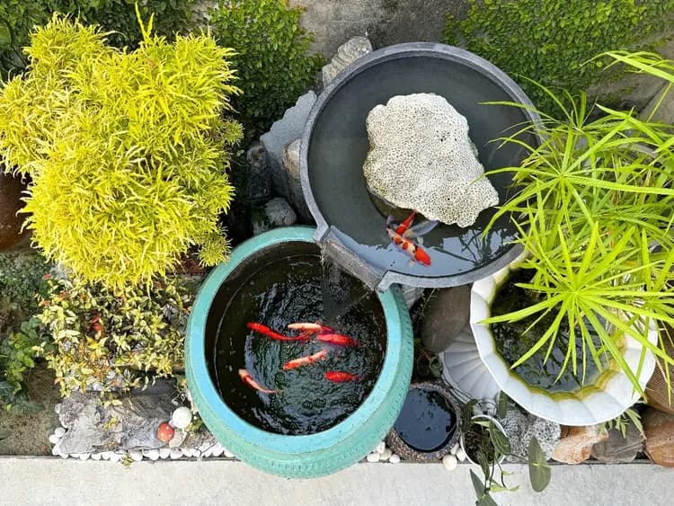 朗香洋房-花園水池景觀