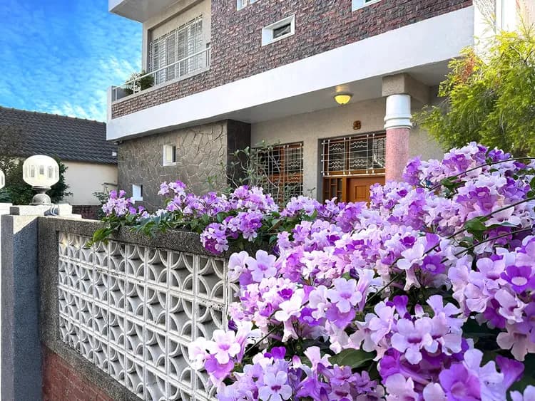 朗香洋房-蒜香藤花開時