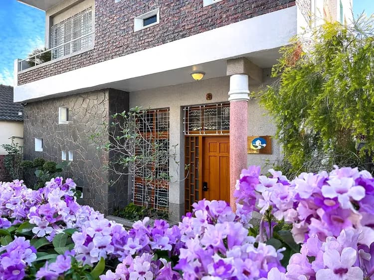 朗香洋房-蒜香藤花開時