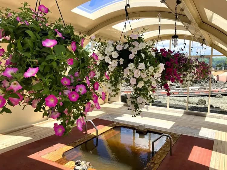 露天風呂エリアに新登場のフラワースパ