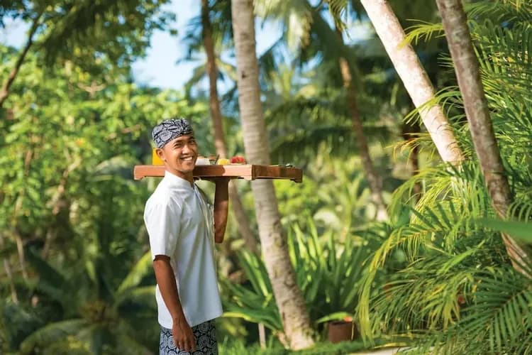 Room service - dining