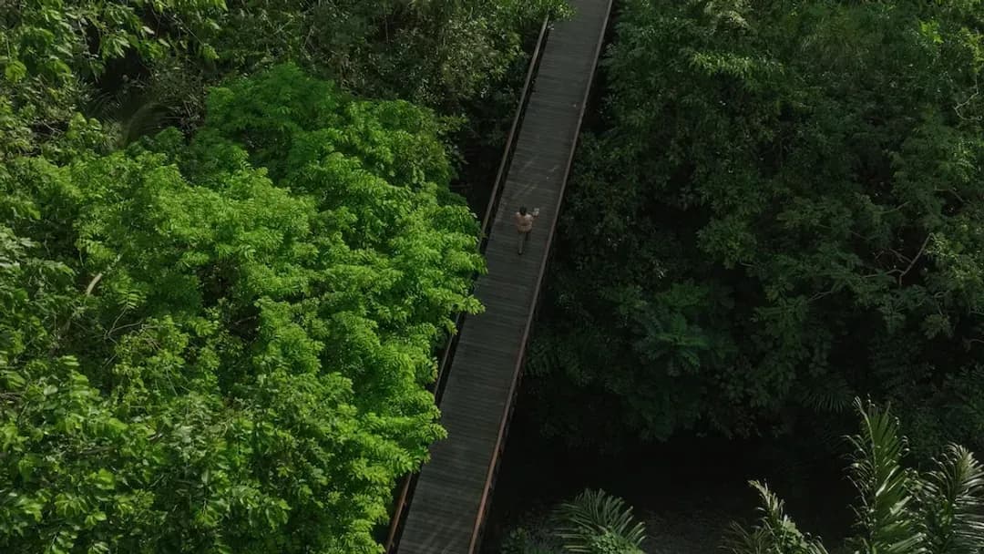 발리 주-카유마니스 우붓 프라이빗 빌라 & 스파