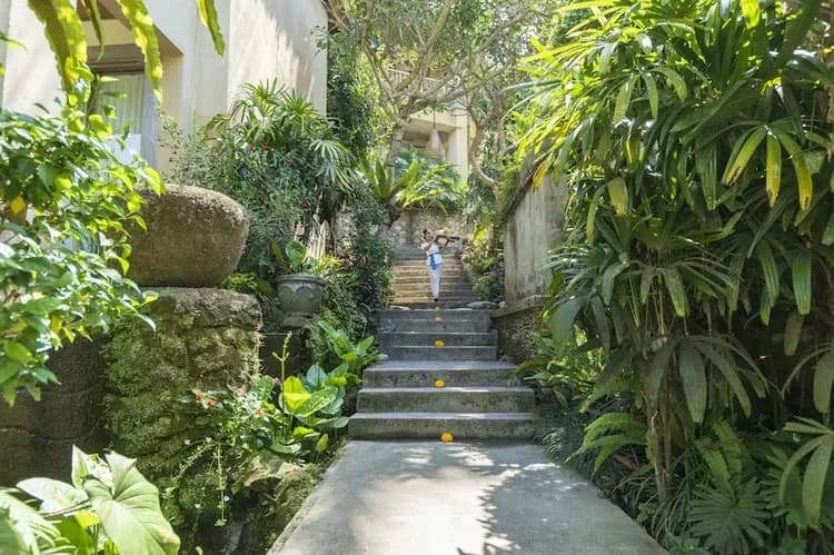 Room service - dining