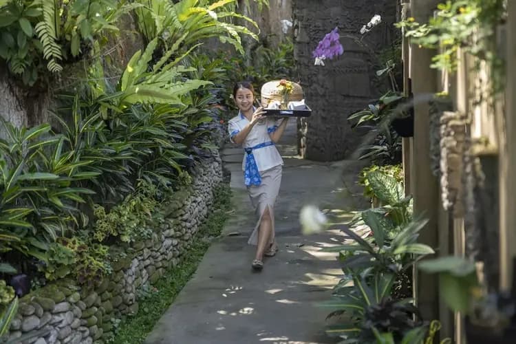 Room service - dining