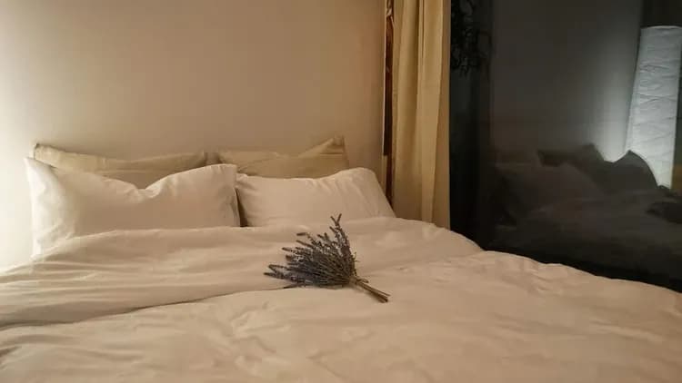 雲瓦堂 Doyoung house-10