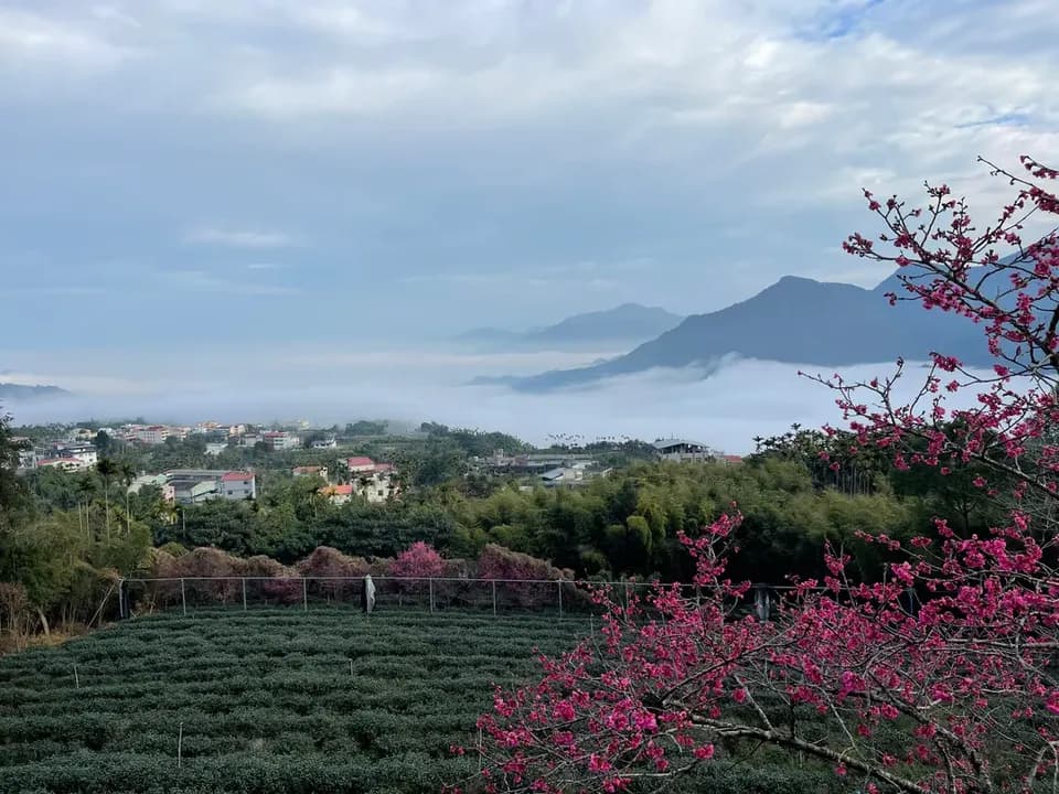 鳳凰·森之鳴 | 獨家7折起!溫馨小木屋、入住送園區門票、導覽課程-5