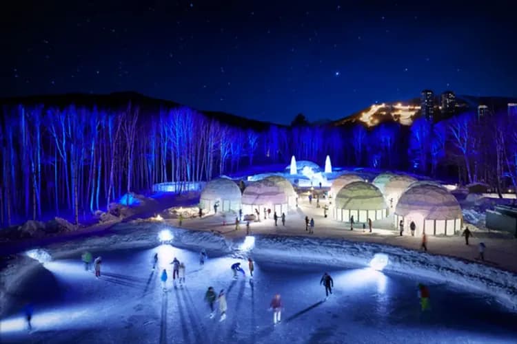 【北海道星賓樂5日】小樽雪樂園、尼克斯熊牧場、星野渡假村、綠之風渡假村