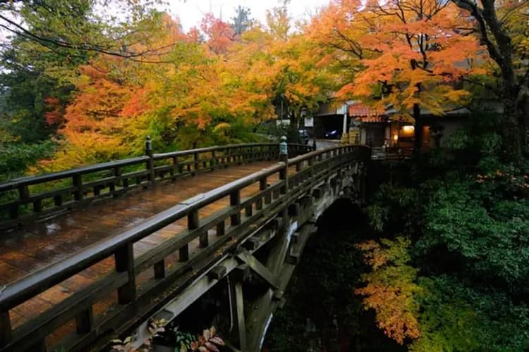 【北陸省很大】金澤兼六園、童話合掌村、三方五湖纜車、名古屋萬怡酒店五日