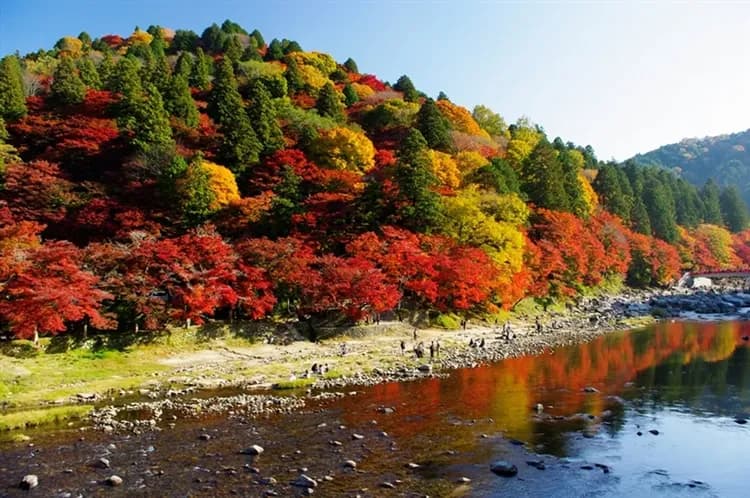 【北陸旅遊四日 高雄來回】特選團、台灣虎航、夢幻合掌村、賞楓名所香嵐溪、德川園、犬山寂光院