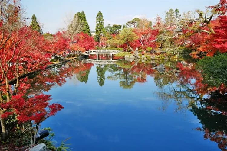 【ITF旅展 大阪旅遊5日】京阪奈紅葉永觀堂、清水寺、箕面瀑布、嵐山渡月橋、好運滿滿達摩、環球影城瑪利歐、高雄來回