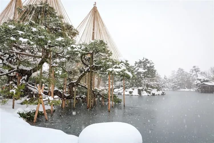 【北陸旅遊 台灣虎航】新穗高纜車~雪壁迴廊、名花之里彩燈祭、合掌村、兼六園、採草莓、螃蟹吃到飽、雙溫泉六日|高雄來回