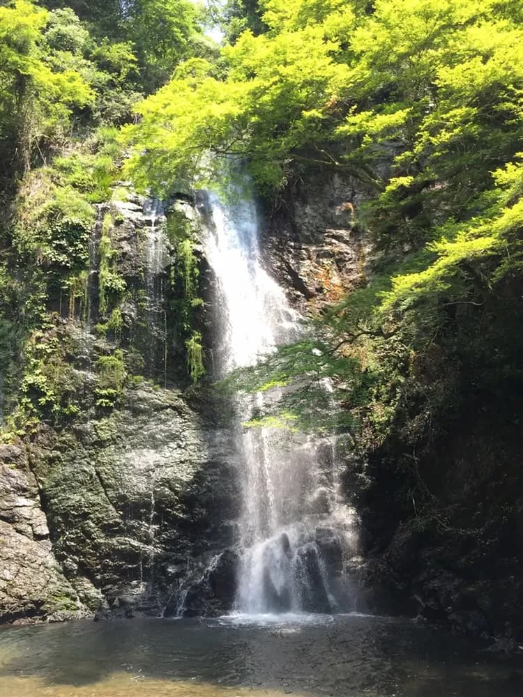 【溫泉季 大阪旅遊5日】高雄來回、體驗穿和服散策清水寺、環球影城瑪利歐、奈良小鹿、螃蟹美食、採草莓趣、四晚泡湯