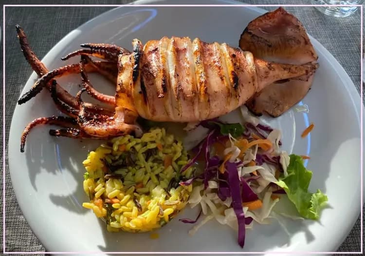 希臘烤花枝風味料理