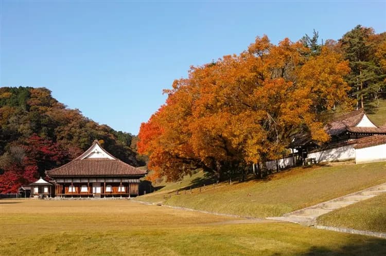 【紅葉松山廣島岡山四國7日】世界遺產嚴島神社、紅葉谷公園、舊閑谷學校、岡山後樂園、金刀比羅宮、大洲城下町散策