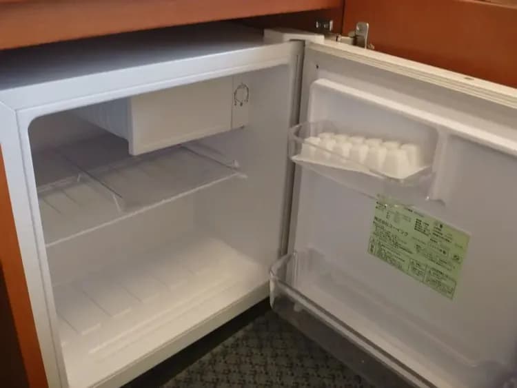 Mini-refrigerator