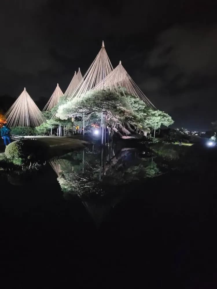 Land view from property