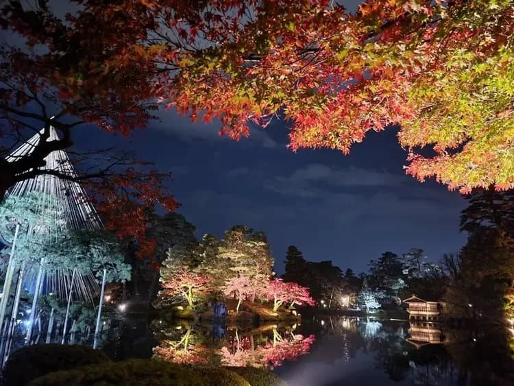 Land view from property