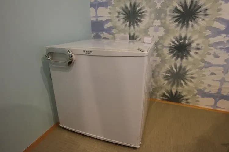 Mini-refrigerator