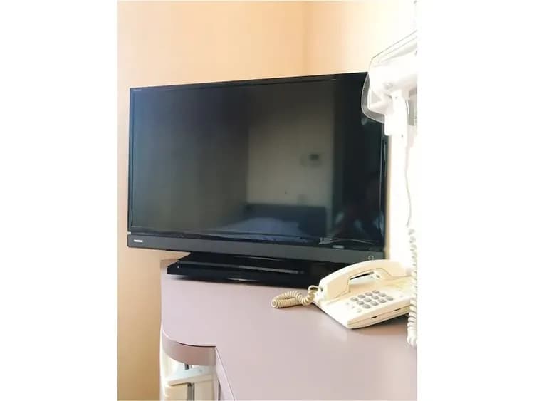 Television