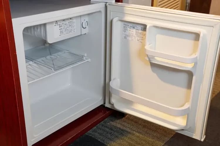 Mini-refrigerator