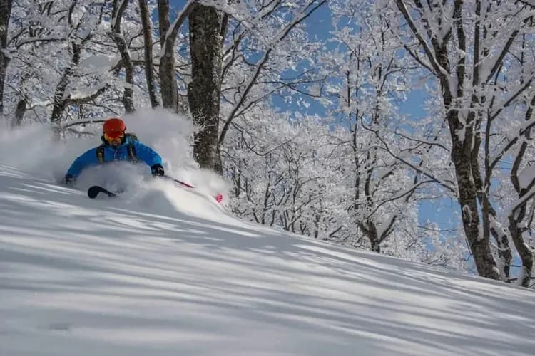 Snow and ski sports