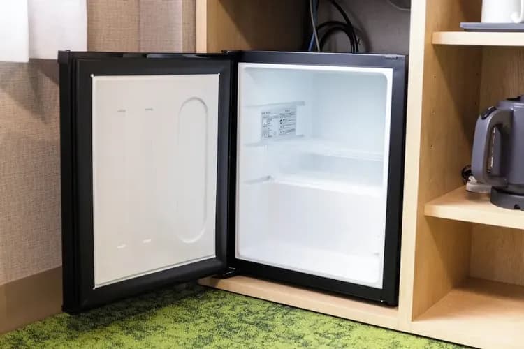 Mini-refrigerator