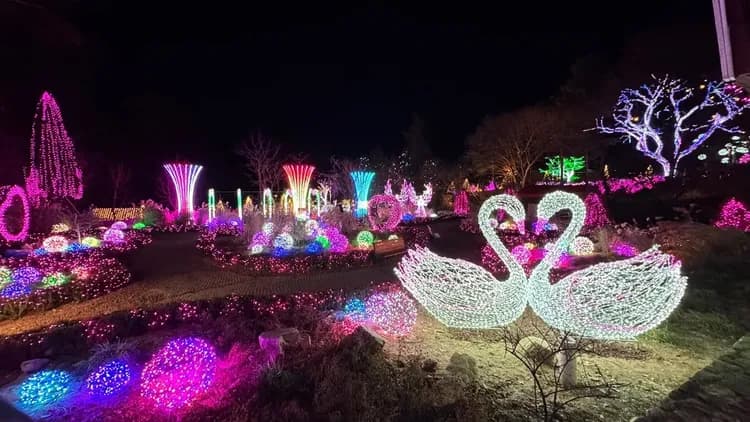 The Stay Healing Park