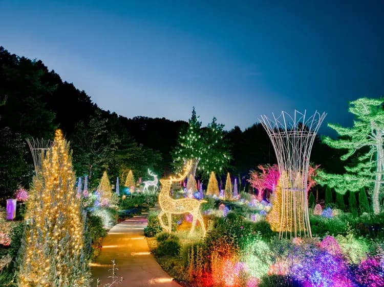 The Stay Healing Park