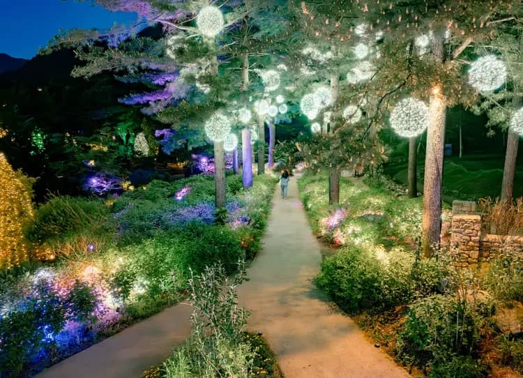 The Stay Healing Park