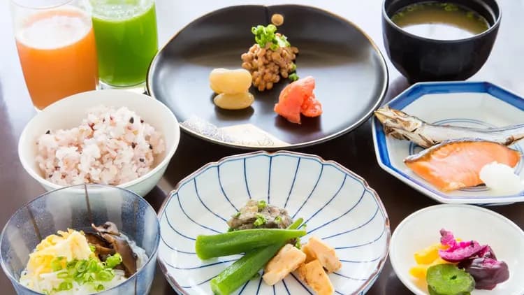 Luxze一葉日向飯店｜近植物園Florante宮崎-7