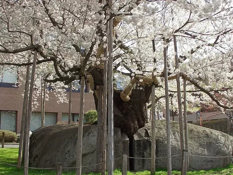 City view from property