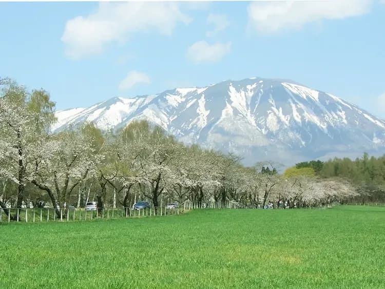 City view from property