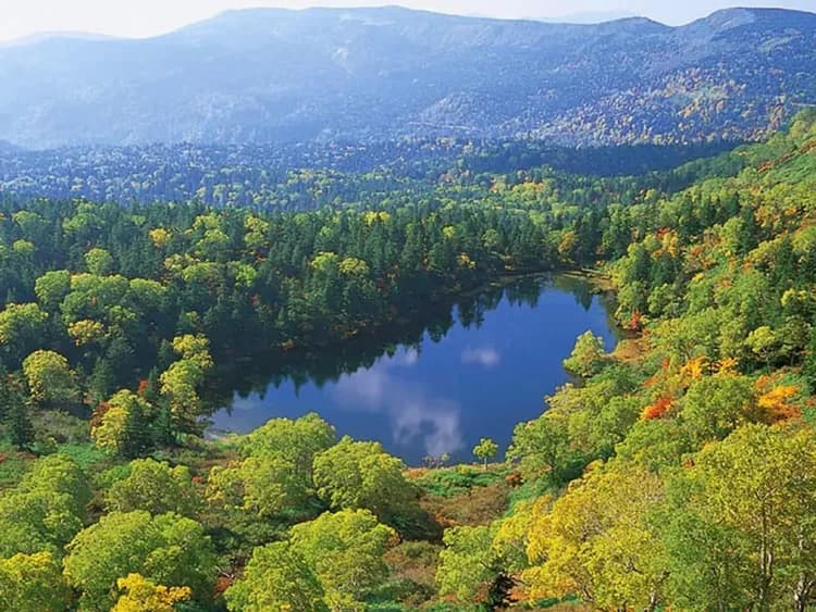 City view from property